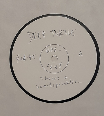 koelevy: DEEP TURTLE - There's a Vomitsprinkler.. LP