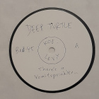 koelevy: DEEP TURTLE - There's a Vomitsprinkler.. LP - pikkukuva 1