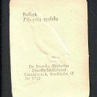ALE - EO 5710 - Nelkku - Lintu - Peippo - pikkukuva 2