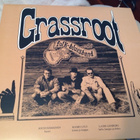 GRASSROOT / Folk - Bluesband vinyl. - pikkukuva 1