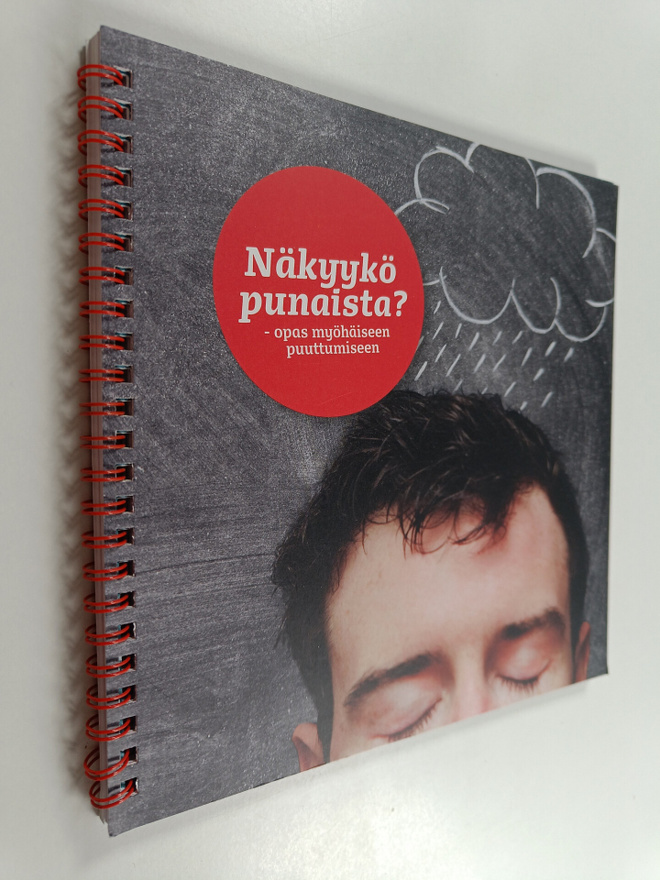 Näkyykö punaista? : opas myöhäiseen puuttumiseen