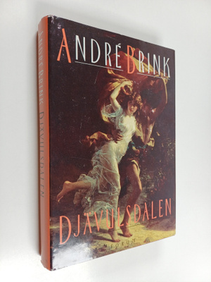 Andre Brink : Djävulsdalen