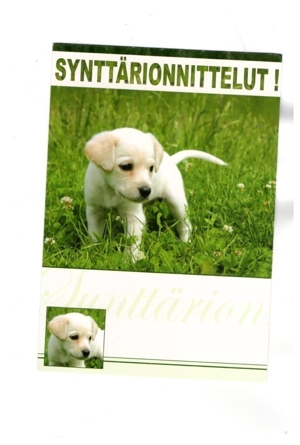 Ihana koiranpentu...°°Synttärionnittelut!°° -KORTTI /Papron