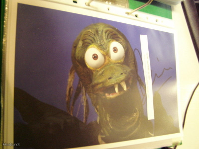 DEVIN TOWNSEND ZILTOID VALOKUVA NIMMARILLA