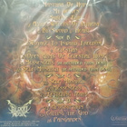 APPALLING SPAWN - ALL SPAWNS - FIN 2012 REMASTERED M-/EX 2LP - pikkukuva 2