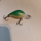 Rapala Fat Rap 5cm - pikkukuva 2
