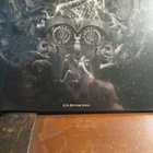 NIGHTWISH::ENDLESS FORMS MOST BEAUTIFUL 2LP - pikkukuva 3