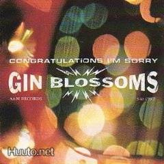 Gin Blossoms ** Congratulations I'm Sorry ** CD