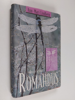 Ann-Mari Lindberg : Romahdus