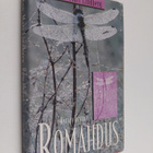 Ann-Mari Lindberg : Romahdus - pikkukuva 1
