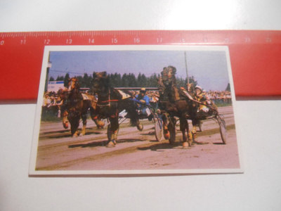K 15 Jenkki Ravi ja ratsastus # 47
