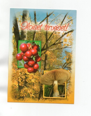 °"ILOISET TERVEISET!°" -KORTTI / Kulkematon (J.Hopponen)