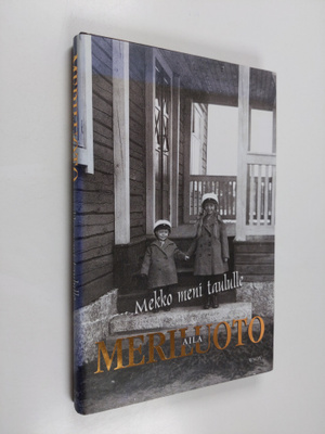Aila Meriluoto : Mekko meni taululle