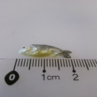 Nukkekoti, miniatyyri kala - pikkukuva 3