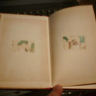 Aili Tarvas SINISAARTEN ELÄIN-YHDYSVALLAT (1 p.1921) Sis.pk - pikkukuva 3