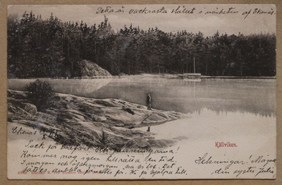 # 23046 # Källviken - 1901