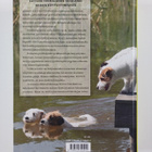 Tuire Kaimio : Koirien käyttäytyminen - pikkukuva 2