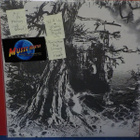 WAIL – Wisdom Through Agony M-/M- LP - pikkukuva 1