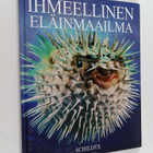 Jacqui Bailey : Ihmeellinen eläinmaailma - pikkukuva 1