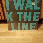 I Walk The Line : Language Of The Lost -LP - pikkukuva 1