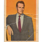 Purkkakuva nPa n:o 243 CHARLTON HESTON - pikkukuva 1