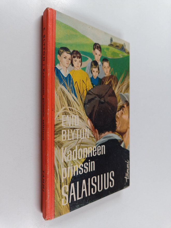 Enid Blyton : Kadonneen prinssin salaisuus