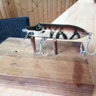 Abu Garcia HI-LO 8cm Eelpout - pikkukuva 2