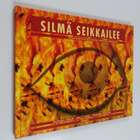 Michael Holm : Silmä seikkailee : kolmiulotteisten kuvien... - pikkukuva 1