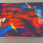 Paloma Faith: Fall To Grace - 2LP ( uusi ) - pikkukuva 3