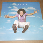 LEO SAYER ENDLESS FLIGHT LP - pikkukuva 1
