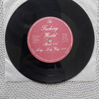 7" The Fucking World: Human Rights + 3 muuta - pikkukuva 2