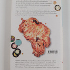 Jari Järvelä : Paljon on Afrikasta kertomatta : novelleja - pikkukuva 2
