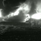 taxi nach tobruk (42 991) UUSI -DE- BLU-RAY 1961 ranska, - pikkukuva 2