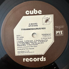 [LP] TYRANNOSAURUS REX: A BEARD OF STARS / UNICORN - pikkukuva 4