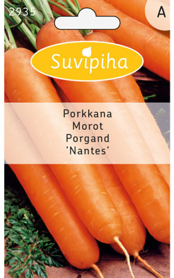 Porkkana NANTES siemenet #