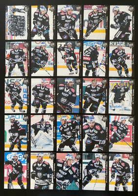 10-11 TPS Team Issue (25 erilaista)
