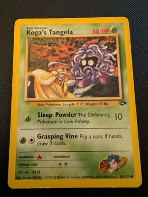Koga's Tangela Pokemon Gym Challenge