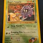 Koga's Tangela Pokemon Gym Challenge - pikkukuva 1