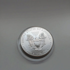 American Eagle 2013 1 oz - pikkukuva 2