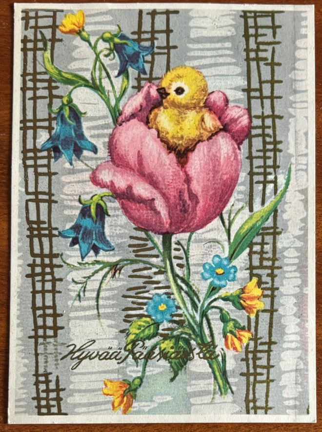 Pieni tipu ja tulppaani, kulkenut PT 972/6