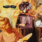 Green Day – Insomniac: - pikkukuva 1