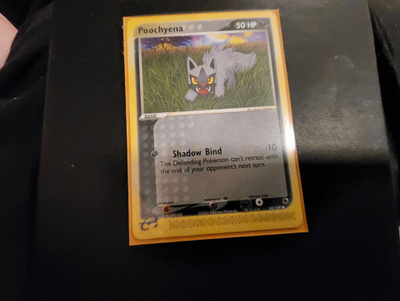 Poochyena (RS 65) EX Ruby & Sapphire card