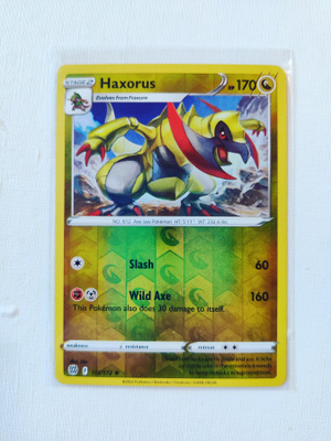 Haxorus Reverse Holo Rare