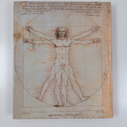 Carlo Pedretti : Leonardo : art and science - pikkukuva 2