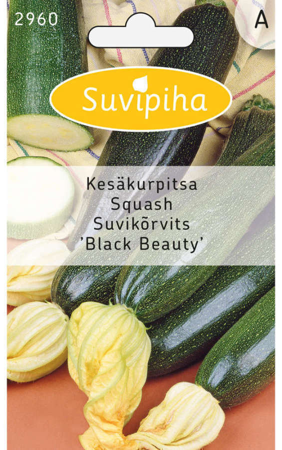 Kesäkurpitsa "BLACK BEAUTY" siemenet #