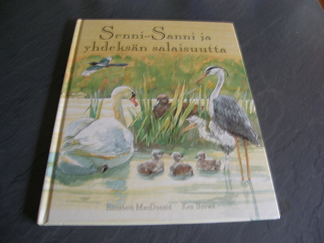 MacDonald - Brown Senni-Sanni ja yhdeksän salaisuutta
