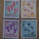 Fernando Poo 1967: kukkia - pikkukuva 1