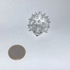 Swarovski 013989 Hedgehog Oval small no whiskers (1987-2006) - pikkukuva 5
