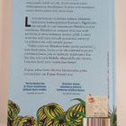 Vuokko Hurme : Kaipaus - pikkukuva 2