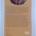 Ritva Levo-Henriksson : Eyes upon wings : culture in Finn... - pikkukuva 2
